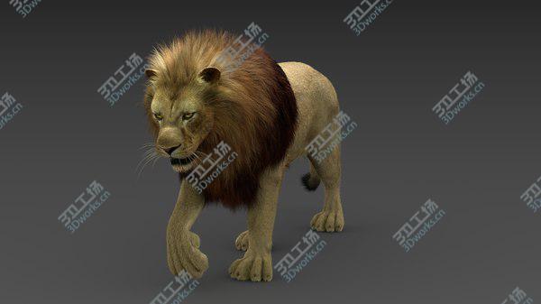 images/goods_img/20210312/Lion 3 (Fur) Animated 3D/4.jpg